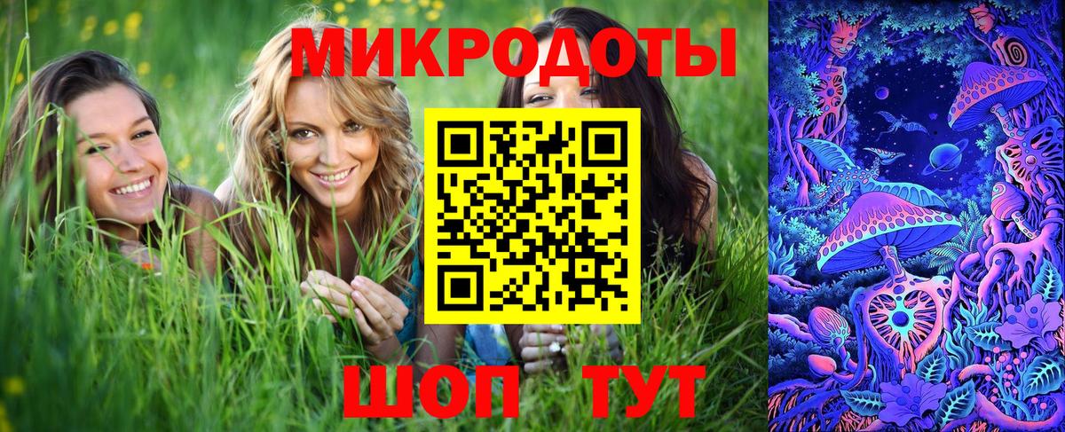 Азов  Псилоцибиновые грибы Cubensis  Вход с VPN 