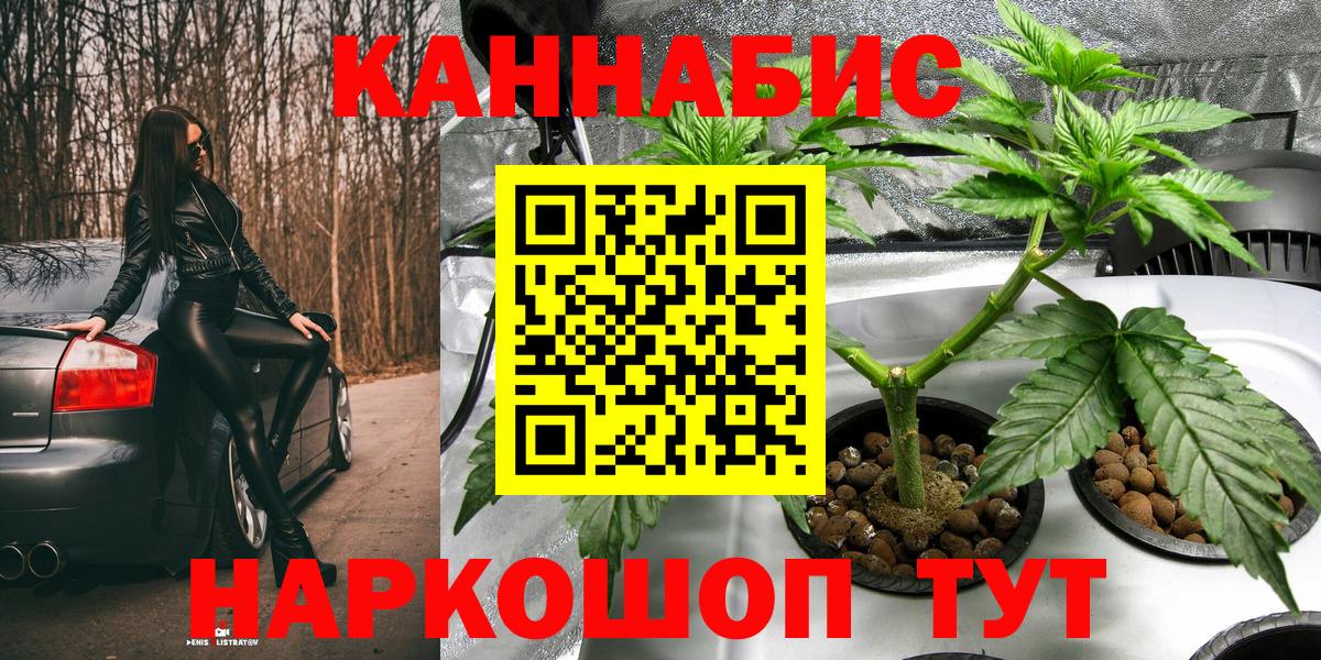 Конопля гибрид Азов